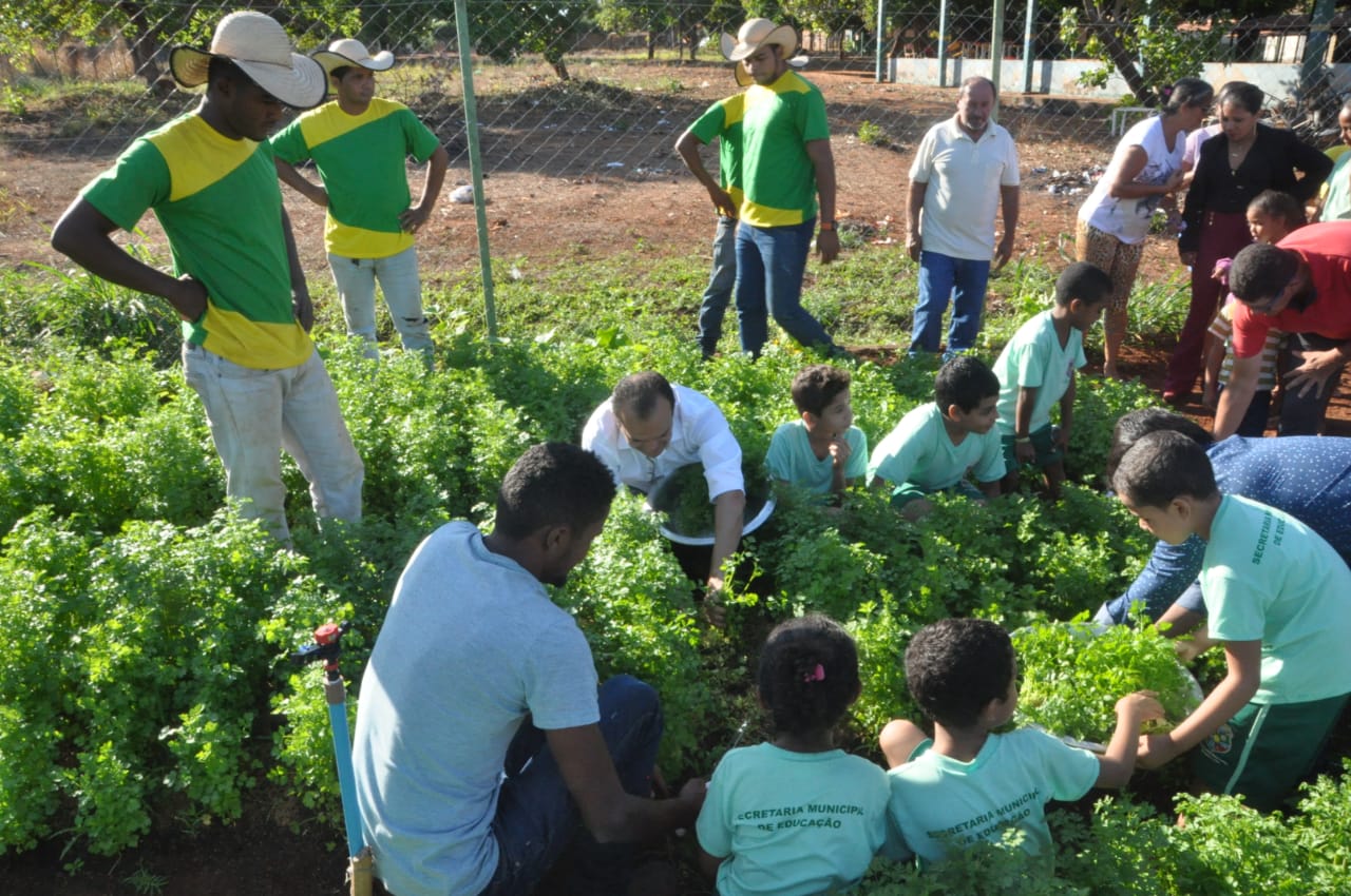 Prefeitura de Porto Nacional entrega primeira colheita da Horta Educativa para reforçar merenda das escolas e abrigos 2