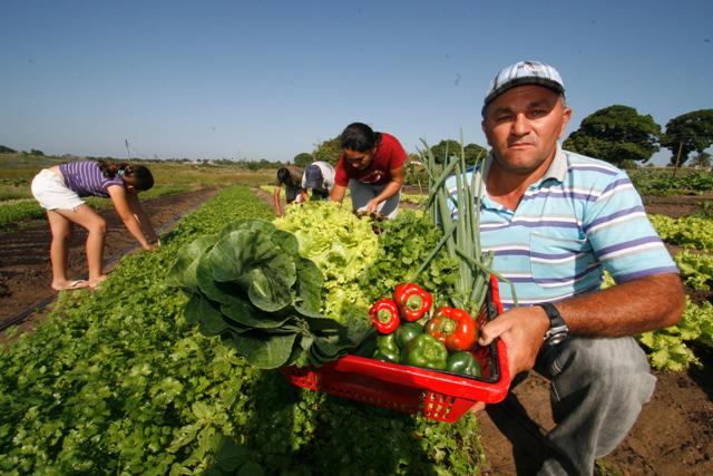 Governo apresenta novas políticas públicas para Agricultura Familiar  durante a 1ª Femaf